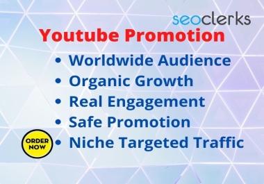 I will do fast organic YouTube Promotion