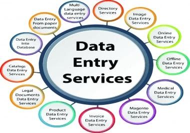 I can do data entry & typing work as per your requirements & also can convert data