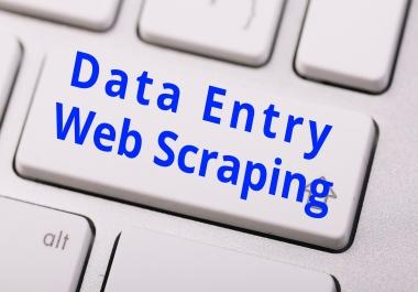 I will be your virtual assistant for data entry,  data mining,  web research