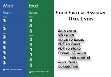 I will be your Virtual assistant of data entry for 8 hours work