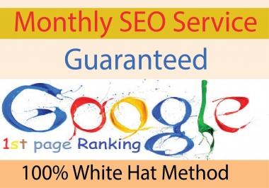 I will Provide monthly complete SEO service for your website ranking