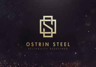 I will make professional logo design with unlimited revisions