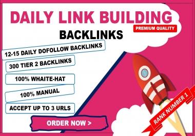 I will submit daily backlinks for 7 days drip feed link building