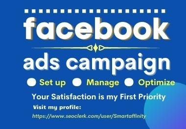 I will set up and manage a super-profitable Facebook ads campaign