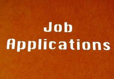 I will write a job application letter