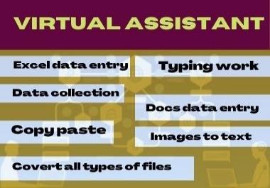 I will do excel data entry,  copy paste,  typing work within 10 hours
