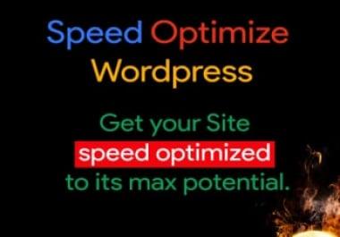 I will speed up wordpress website for google pagespeed insights