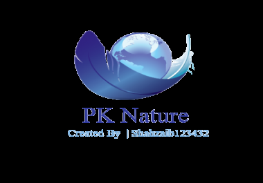 I will design modern and professional logo and graphic design