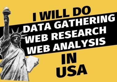 I will Do Data Gathering Web Research Web Analysis