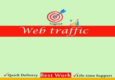 I will drive organic safe web traffic