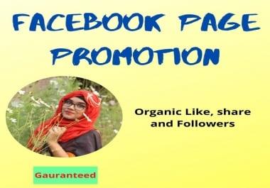 I will promote and advertise your Facebook page