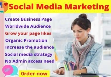 I will Promote and Advertise your Facebook page social media to grow your business