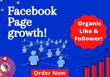 Promote & Advertise your Facebook page organically to large audience