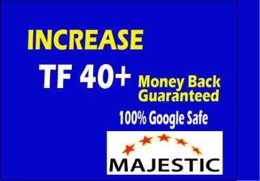 increase trust flow up to 30 with SEO white hat backlinks