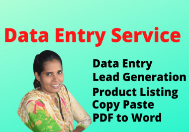I will provide expert data entry in 24 hours