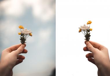 I will do photo background remove and any photo editing