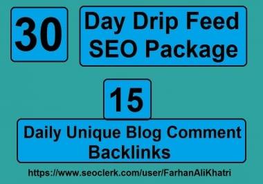 I Will SEO Service Do 30 Days Daily Update 15 Blog Comments Dofollow Backlinks