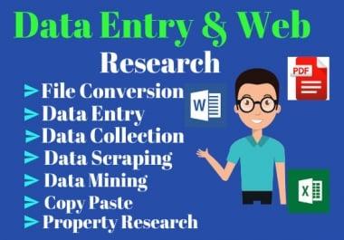 I will do fastest Data Entry and Web research Properly