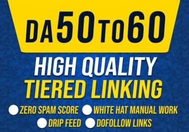 I will build 170 Seo dofollow high da backlinks with tier link building
