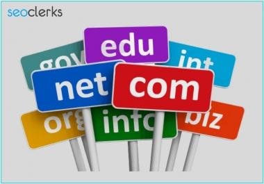 I will find the best domain name for your business/blog