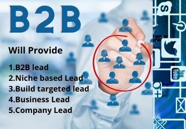 I will provide you 100 targeted b2b niche based lead
