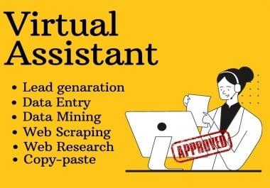 I will be your personal professional VIRTUAL ASSISTANT