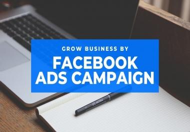 I will manage Facebook ad campaign for you