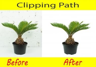 I will background removal photo editing