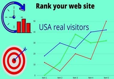 i will drive 7000 real USA organic web traffic for your web site
