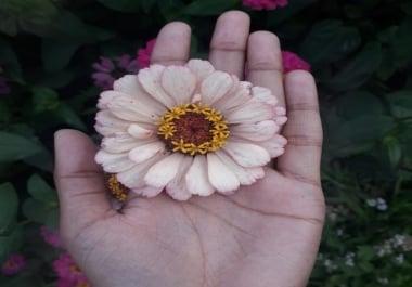 I design cover photos for facebook, instagram & lettering.