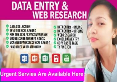 I Will Create Data Entry, Excel Data Entry, Copy Paste and Typing Work within in 5 Hours