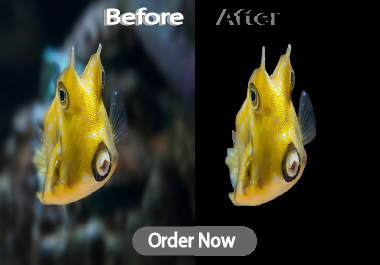 I will professionally remove from 10 background image