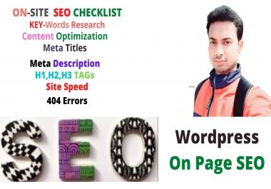 I will do professional on page SEO and WordPress site ranking