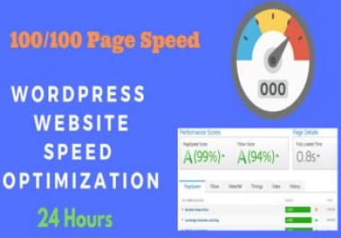I will do wordpress speed optimization and improve page speed score