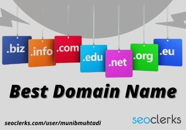 I will find the best domain name for your business or blog