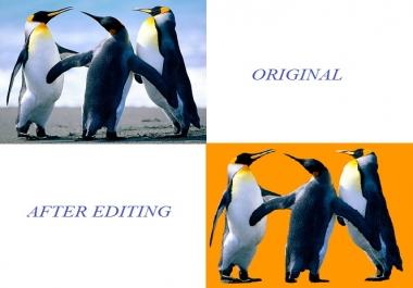 I will remove background for your image