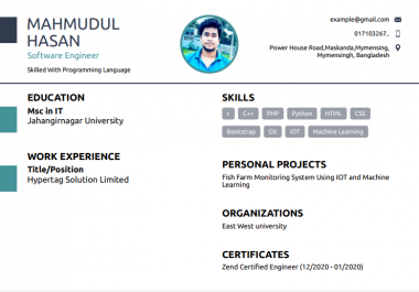 i will do professional resume writing and cv writing