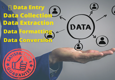 I will be a Virtual Assistant for your Data Entry Project