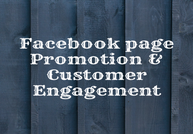 I Will Promote Your Facebook Page To Engage More Customers
