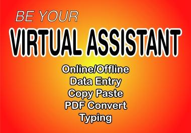 I will be your virtual assistant for data entry and copy paste