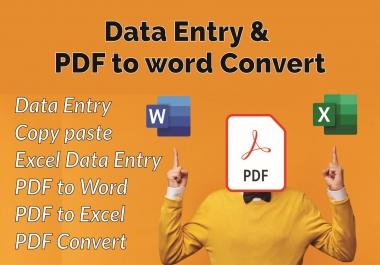 I will do Data Entry,  Copy Paste,  PDF to any convert and Excel data entry work