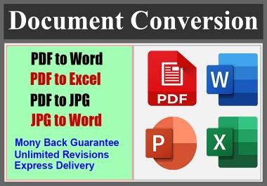 I will file conversion PDF to excel or PDF word professionally