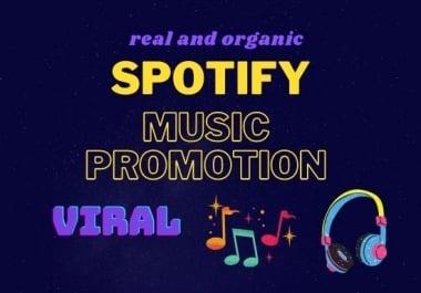 I will do organic music promotion for you
