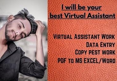 I will be your best virtual assistant and i will do what you need.