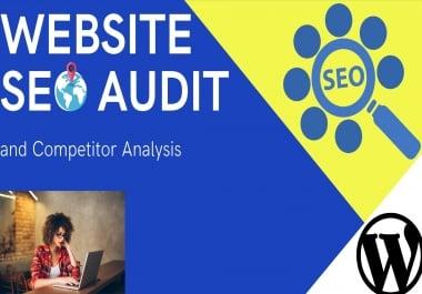 I will provide a Professional Technical SEO Audit for your Site