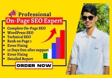 Complete WordPress On Page SEO and Technical SEO to rank website on the first page for 5 pages