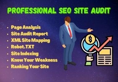 I will provide professional SEO audit report with all tools
