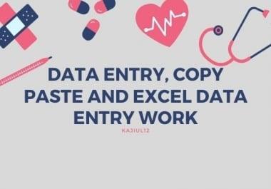 data entry,  copy paste and excel data entry work for you