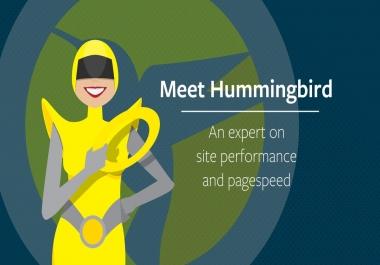 WPMU DEV Hummingbird Pro Current Version 2.7.2