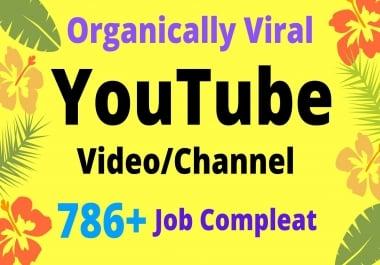 I will do organic YouTube video promotion and YouTube SEO